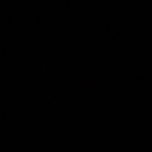 Meet your Posher, Kailey